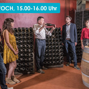 VISIT AND TASTING OF CEMBRA'S FINEST WINES