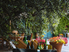 We ferment! - Agricola Foradori