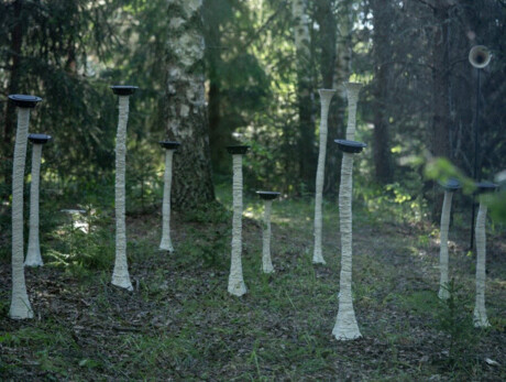 PILZE – Symbiotische Harmonien – Botanischer Alpengarten „Giardino Botanico Alpino delle Viote” auf dem Monte Bondone