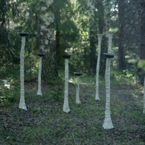 PILZE – Symbiotische Harmonien – Botanischer Alpengarten „Giardino Botanico Alpino delle Viote” auf dem Monte Bondone