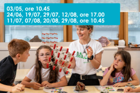 GEOLABS - LA TOMBOLA DEI MINERALI