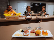 The Trentino land becomes a cellar - Rotari Winery