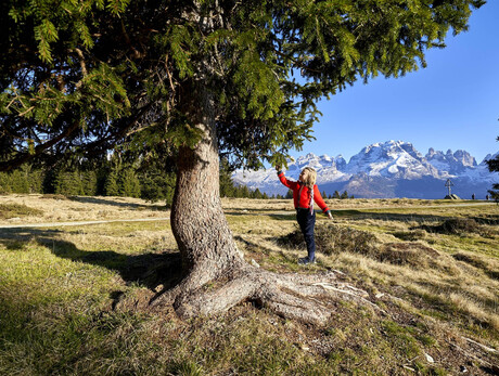 JUNIOR PARK – Mysterious Tracks: Guess the animal!