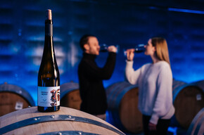 The art of making wine