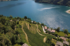 OUR ORGANIC FARM AT 360°