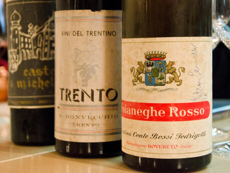 The exhibition on Trentino Bordeaux wines - Food and wine, comparative tastings, and educational workshops