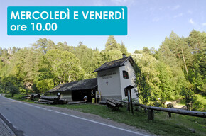 LA SEGHERIA VENEZIANA DEL COMUNE DI CAVALESE 