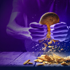 Sensory workshops combining tasting and neuroscience - MUSE