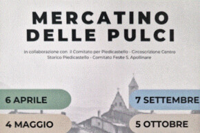 Flea Market - Piedicastello