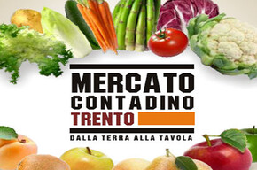 Trento farmer's market - From the land to the table