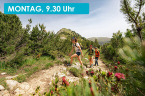 MONTE AGNELLO, ON THE TRACES OF THE TRIASSIC ERUPTION