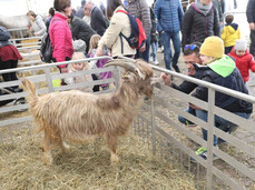 Agricultural Exhibition