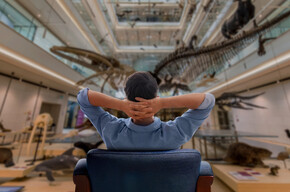 MUSE Soft. Experience the museum at your own pace