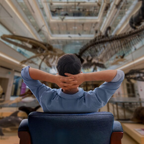 MUSE Soft. Experience the museum at your own pace