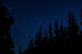 Sleeping in the woods - Viote Alpine Botanical Garden