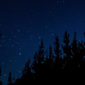 Sleeping in the woods - Viote Alpine Botanical Garden