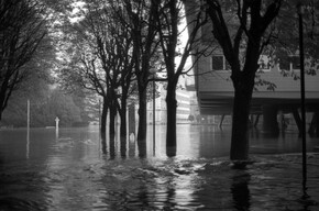 Von Trient in die Welt: Bildberichte von Giorgio Salomon