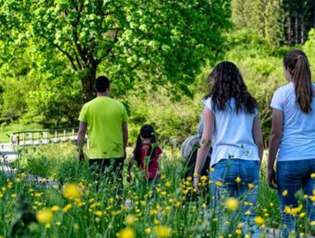 Landscapes of Europe – Guided walks along the trails of Ticino