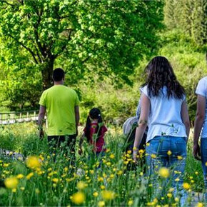 Paesaggi d'Europa - Escursioni guidate lungo i sentieri del Tesino