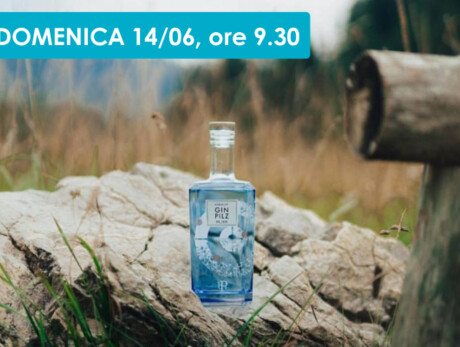 PASSEGGIATA E APERI-GIN
