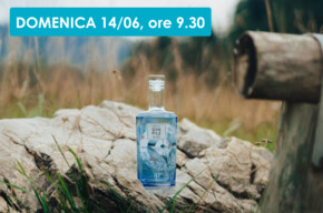 PASSEGGIATA E APERI-GIN
