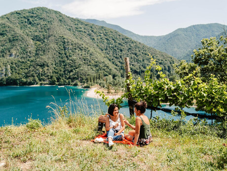 Picnic in the vineyards
