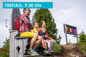 PICCOLI ARTISTI IN NATURA: CREA LA TUA OPERA CON RESPIRART 