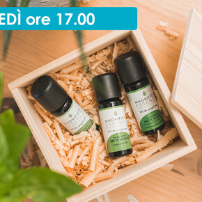 PROFUMI DI FIEMME: DAL BOSCO A CASA TUA 