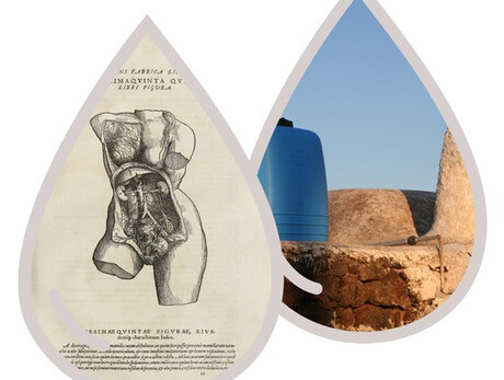 Rigenerazioni: scenari antichi per un nuovo antropocene - MUSE