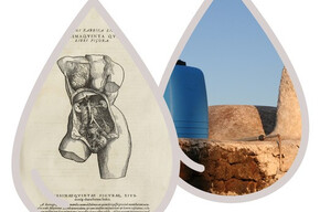 Rigenerazioni: scenari antichi per un nuovo antropocene - MUSE