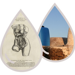 Rigenerazioni: scenari antichi per un nuovo antropocene - MUSE