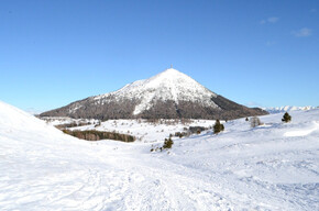 Discover the fauna and flora of Monte Bondone
