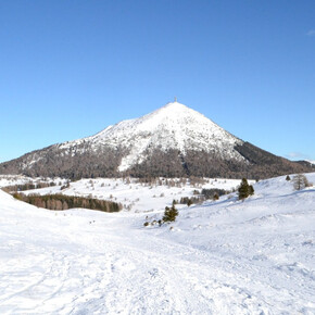 Discover the fauna and flora of Monte Bondone