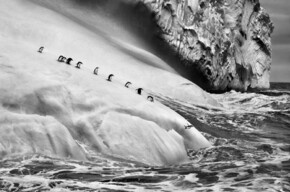 Sebastião Salgado Glaciers - MUSE