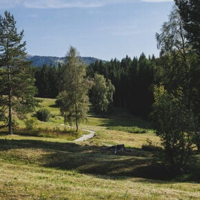 Silent Play – Märchen, Gebrauchsanweisung – Botanischer Alpengarten – Viote del Monte Bondone
