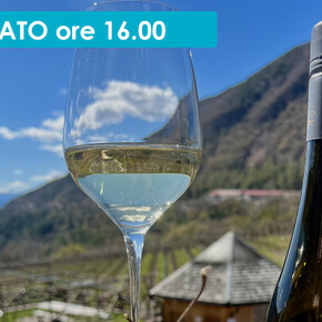 SOTTO LA VIGNA: 3 VINI PER 3 FRATELLI