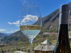 SOTTO LA VIGNA: 3 VINI PER 3 FRATELLI