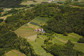 Panoramic trekking "A walk through time" - Klinger Winery