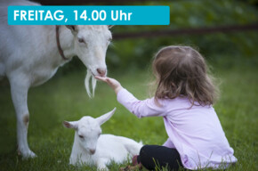 TUTTI IN MALGA PER UN POMERIGGIO DA CAPRA