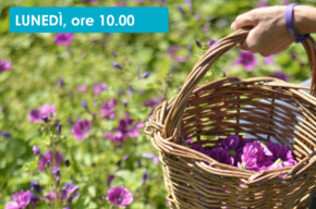 UNA MATTINA DA CONTADINO