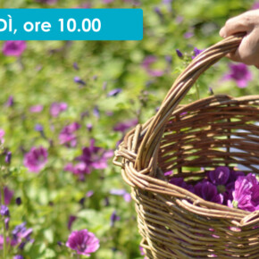 UNA MATTINA DA CONTADINO