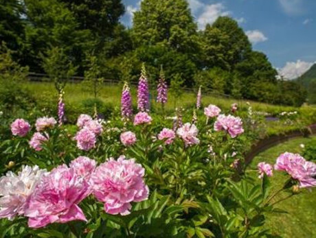 Visita Culturale al Giardino d’Europa