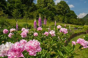 Visita Culturale al Giardino d’Europa