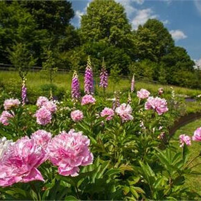 Visita Culturale al Giardino d’Europa