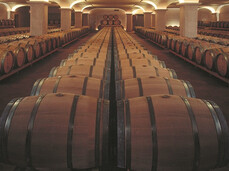 Visit and wine tasting at San Leonardo Estate