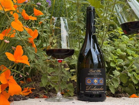 Visit and wine tasting at Dalzocchio Winery