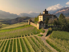 Visita e picnic sull'erba nei giardini di Castel Nanno