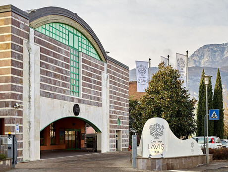 Visits and tastings at LaVis Winery