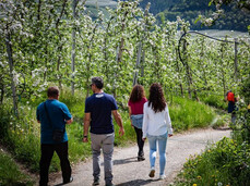 Wine trekking