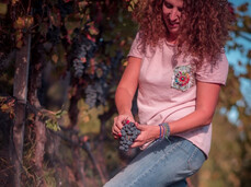Wine trekking